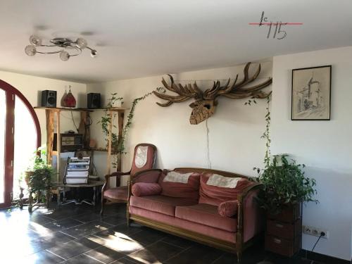Hadol House | Le 115 Retour aux Sources