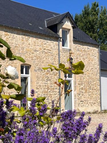 Bayeux Intercommunalite House | Le 449 - Collection La 21ème Planche