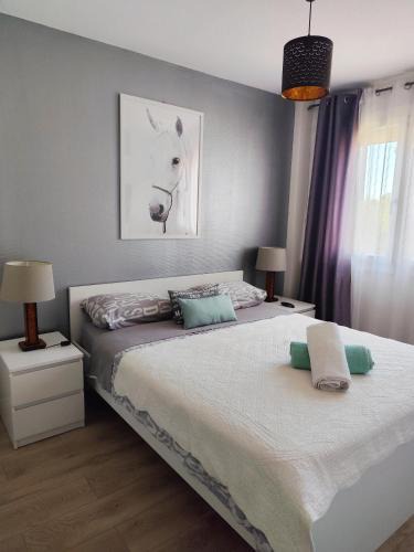 Les Platanes Apartment | Le balcon de la basse centre ville de Perpignan