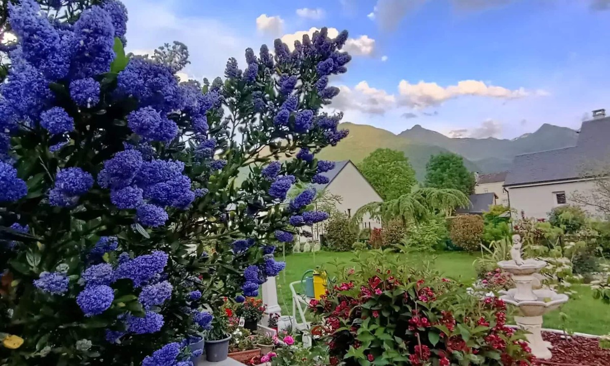 Adast Bed & Breakfast | Le Balcon des Cimes