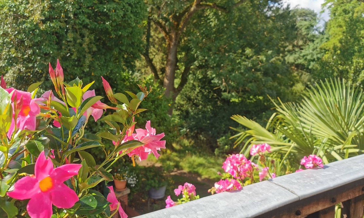 Forges-les-Eaux Apartment | Le Balcon Flaubert