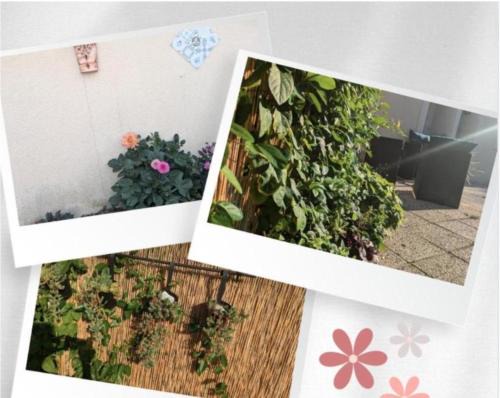 Forges Apartment | Le Bangorcoon Duplex Véro