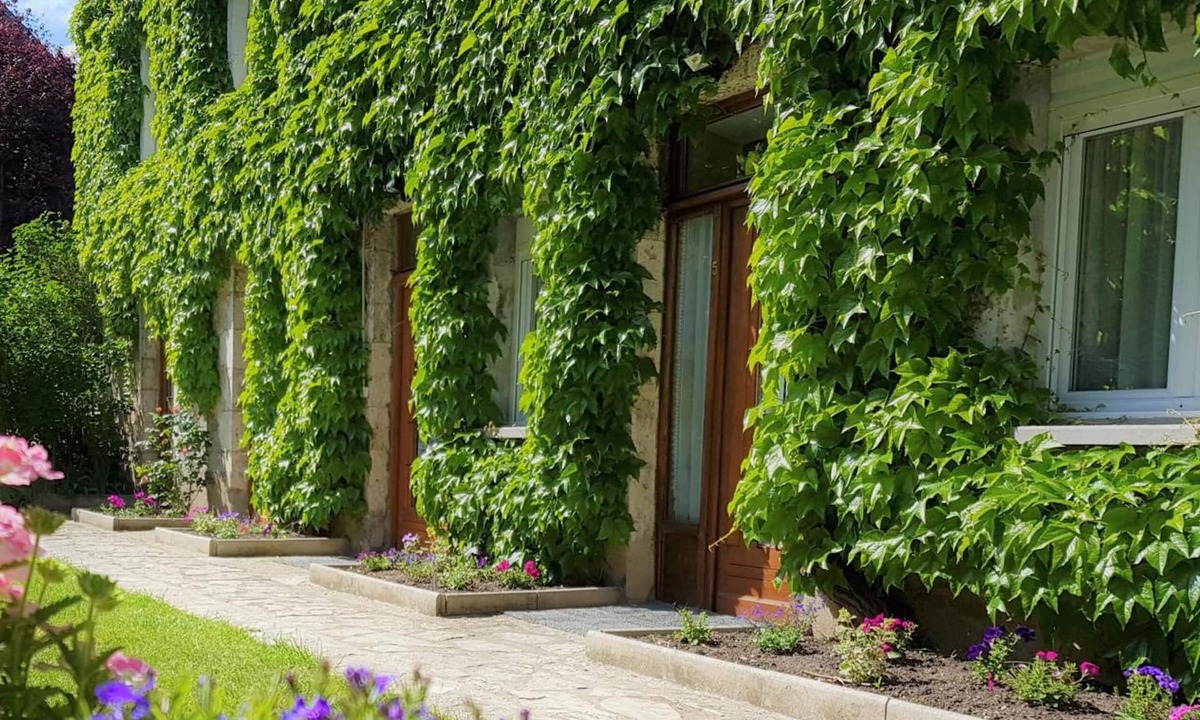 Beaugency Hotel | Le Beaugency