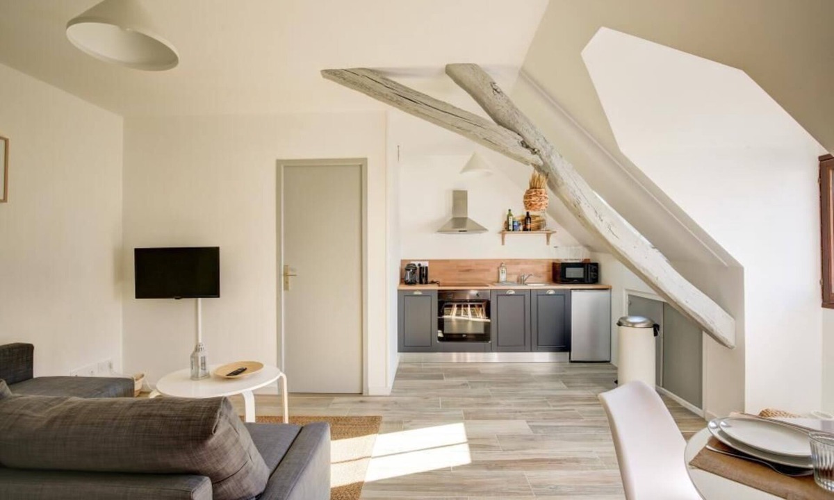 Tours Apartment | Le Belvédère: A meeting place for friends