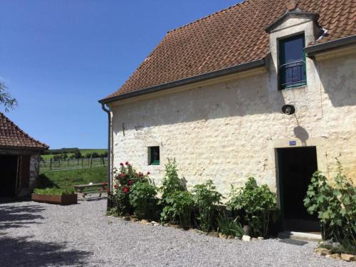 Bazinghen House | Le Big Family - LE MONT DE LA LOUVE