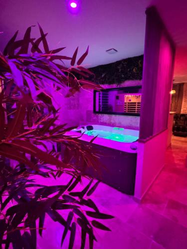 Malissard Hotel | Le boudoir suite&spa