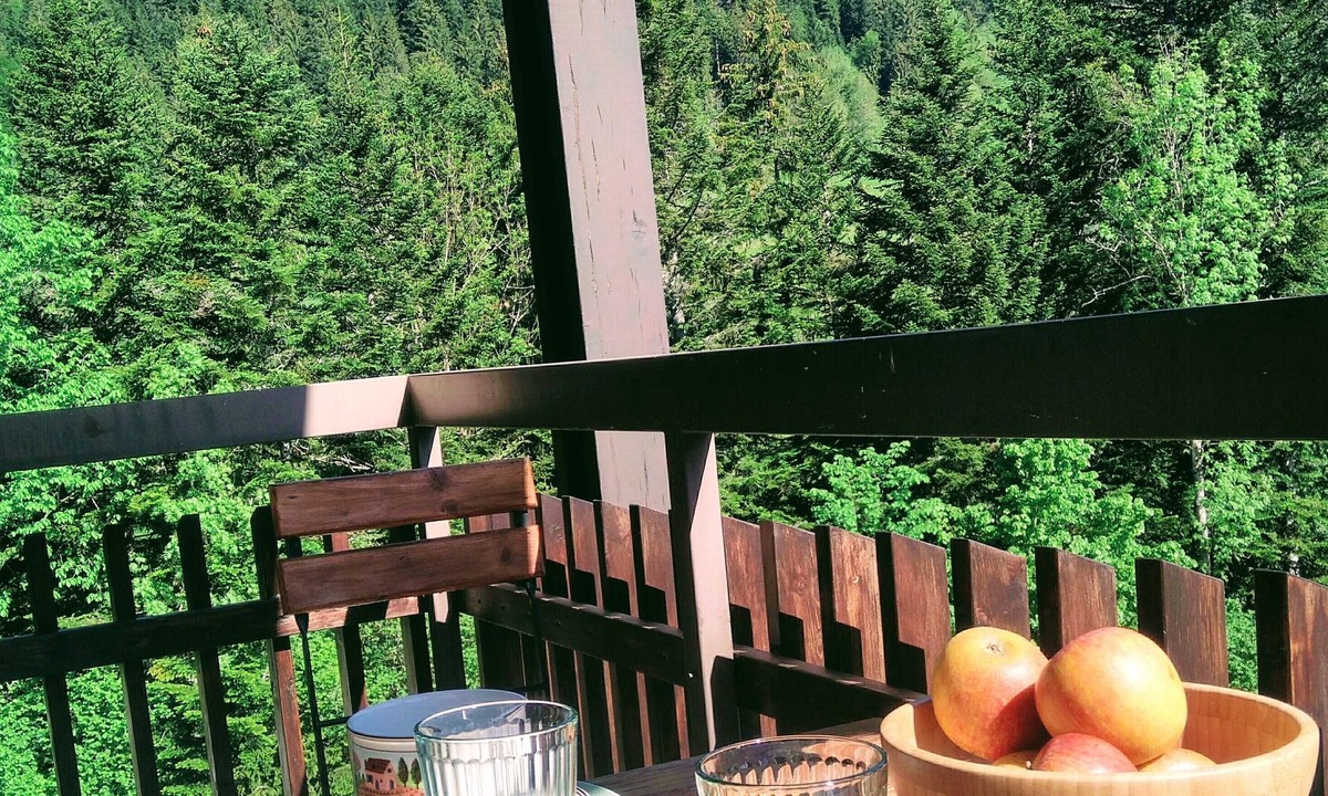 Saint-Pierre-de-Chartreuse Apartment | Le Charmant Som en Chartreuse