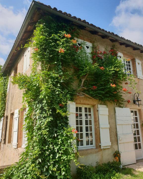 Charnay-les-Macon Bed & Breakfast | LE CARGE D’ARLAY