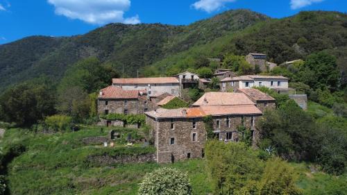Valleraugue Apartment | Le Châtaignier