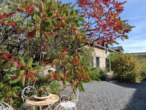 Plesse Bed & Breakfast | Le Chêne Blanc