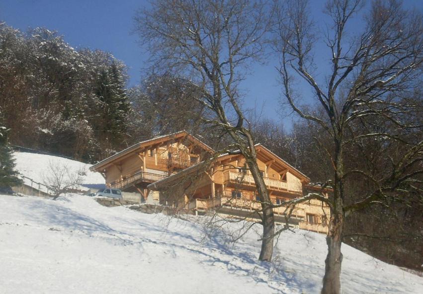 Sallanches Apartment | Le Chalet Vue Mont-Blanc