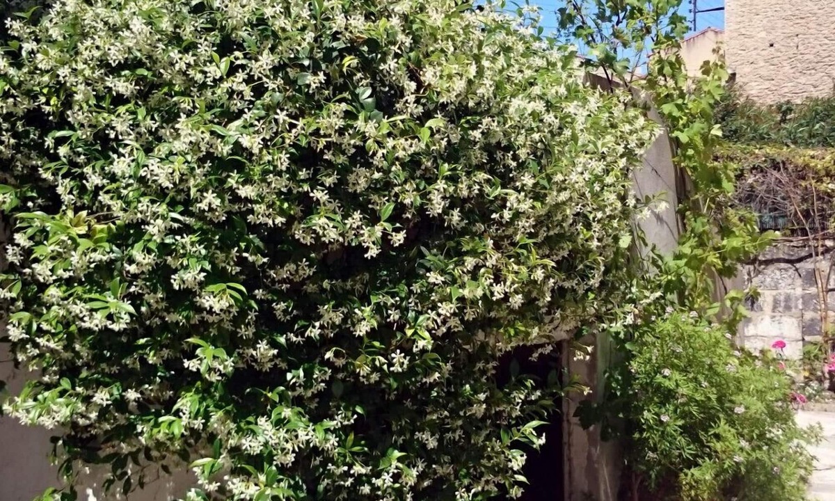 Gares Bed & Breakfast | Le Clos Chez Michel