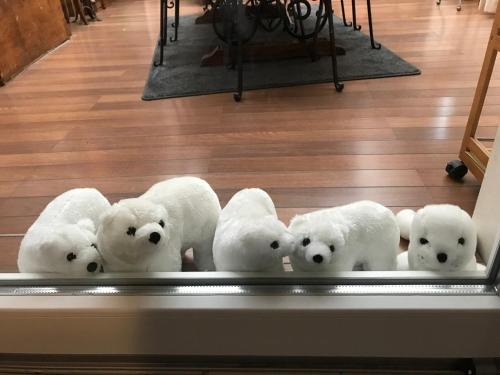 Oberhaslach Bed & Breakfast | Le Clos d'Auré.