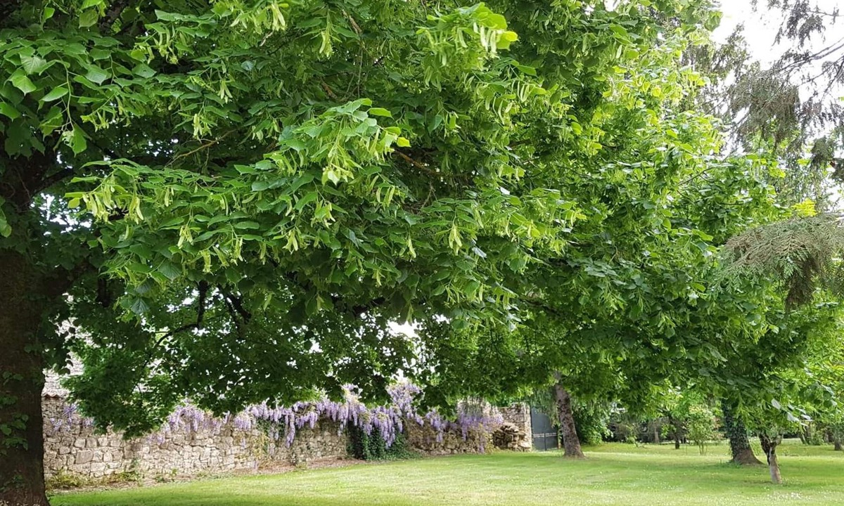 Vouthon House | Le Clos de La Font Queroy