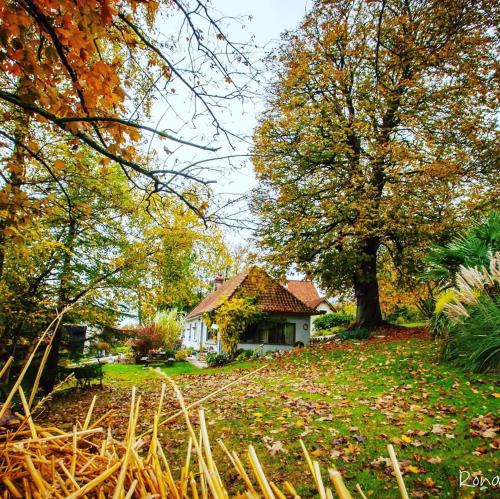 Marenla House | Le Clos de Marenla