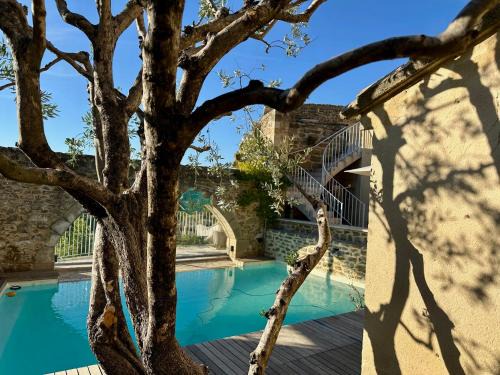 Grillon Bed & Breakfast | Le Clos du Vialle, piscine, petit-déjeuner inclus, parking