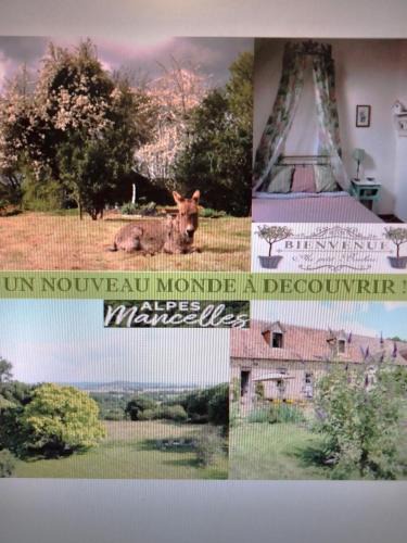 Segrie House | Le Clos Fleuri