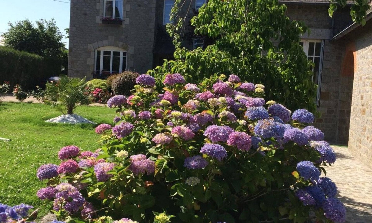 Saint-Brice-en-Cogles Bed & Breakfast | Le Clos Saint-Brice