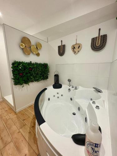 Roanne Apartment | Le Cocon Central avec Balnéo