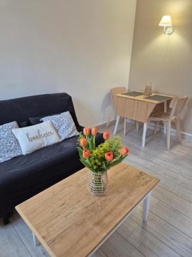Chartres Apartment | Le Cocon des Lumières Centre Chartres Parking