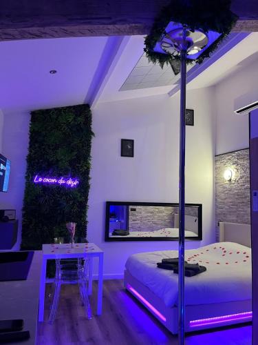 Montaigut-sur-Save Apartment | Le Cocon du Désir, Love Room, Jacuzzi