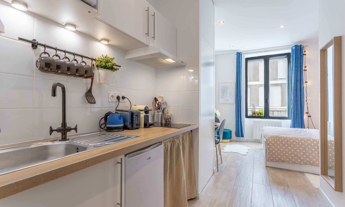 La Guillotiere Condo | Le Cocon Fleuri Résum