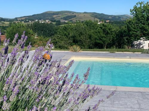 Macaye Apartment | Le cocon Laina Piscine & spa optionnel