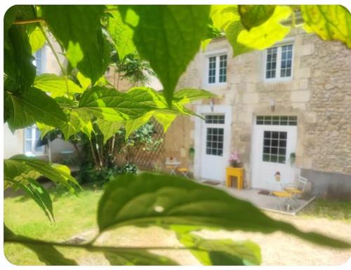 Poitiers Apartment | Le CocoOn Doré