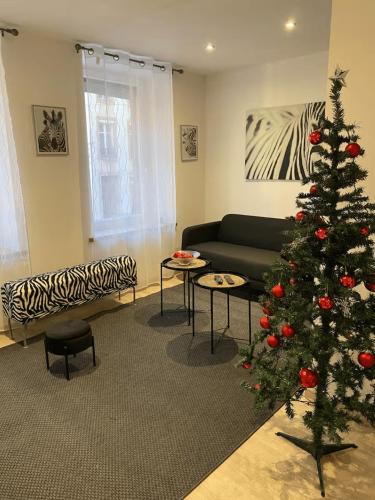 Raon-l'Etape Apartment | Le Cosi Vosgien Appartement familial au centre de