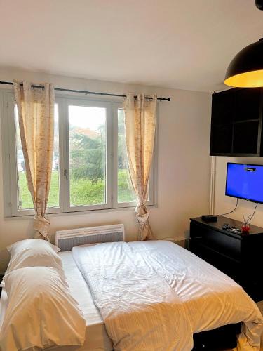 Feyzin Apartment | Le Cosy, charmant studio