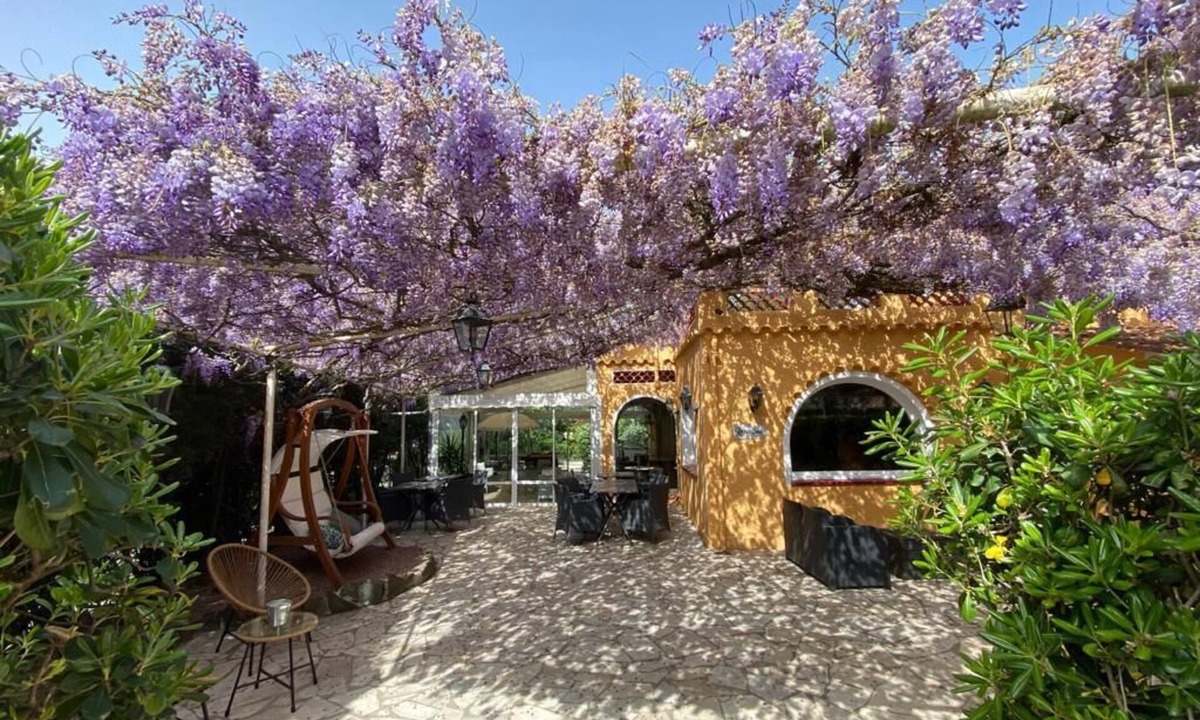 Saint-Aygulf Hotel | le Cosy