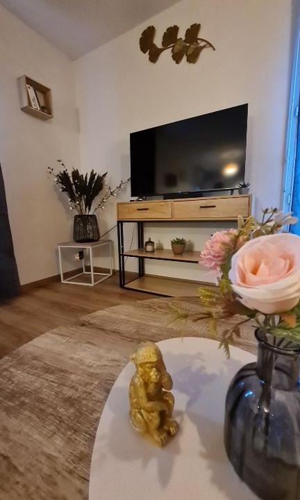 Oyonnax Apartment | Le Cosy Home