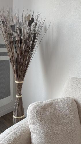Castelginest Apartment | Le cosy Parking gratuit piscine terrain de tennis