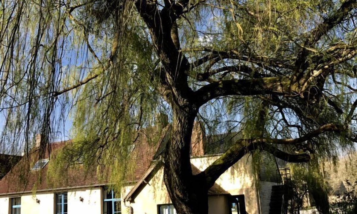 Aunou-sur-Orne House | Le Domaine de la Cour