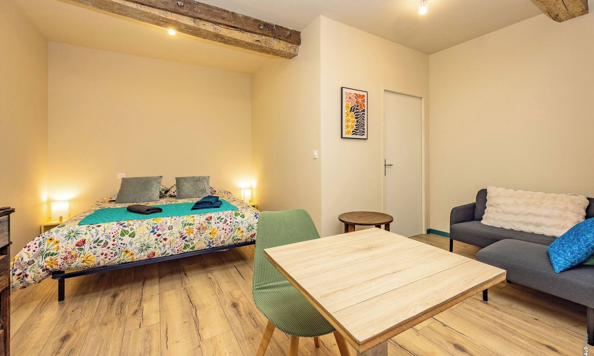 Lavaur Apartment | Le Figuier - Charming Studio