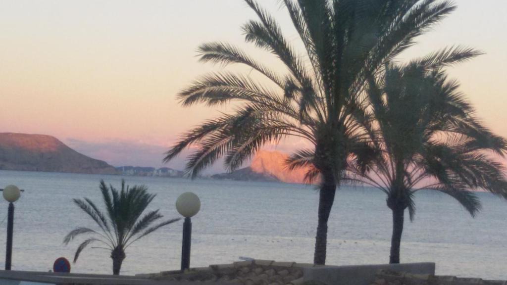 Cap-d'Antibes Apartment | Le fontainebleau