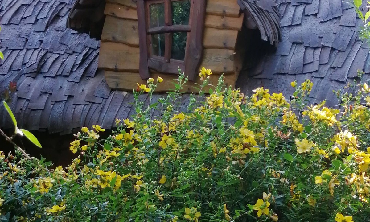 Sainte-Opportune-la-Mare Bed & Breakfast | Le Frêne Fringant