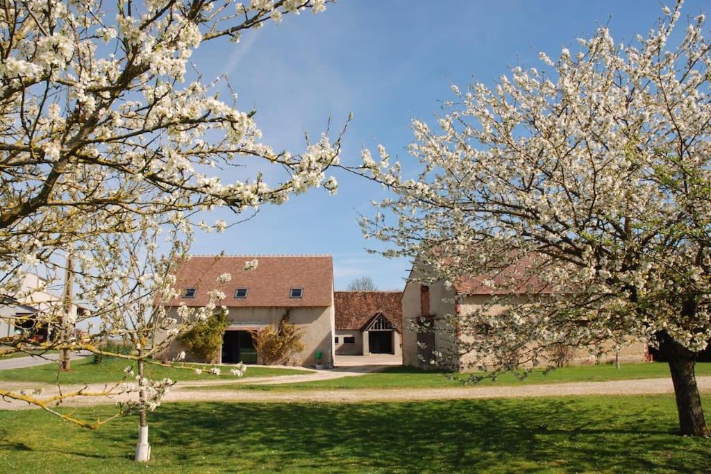 Saint-Hilaire-sur-Puiseaux House | Le gîte du Quai aux Gîtes de Cormenin