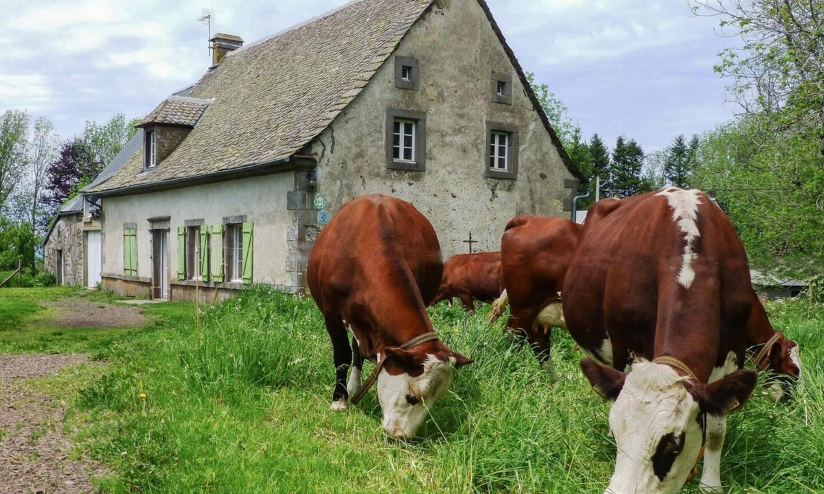 Tauves House | Le Gîte de la Chaleille