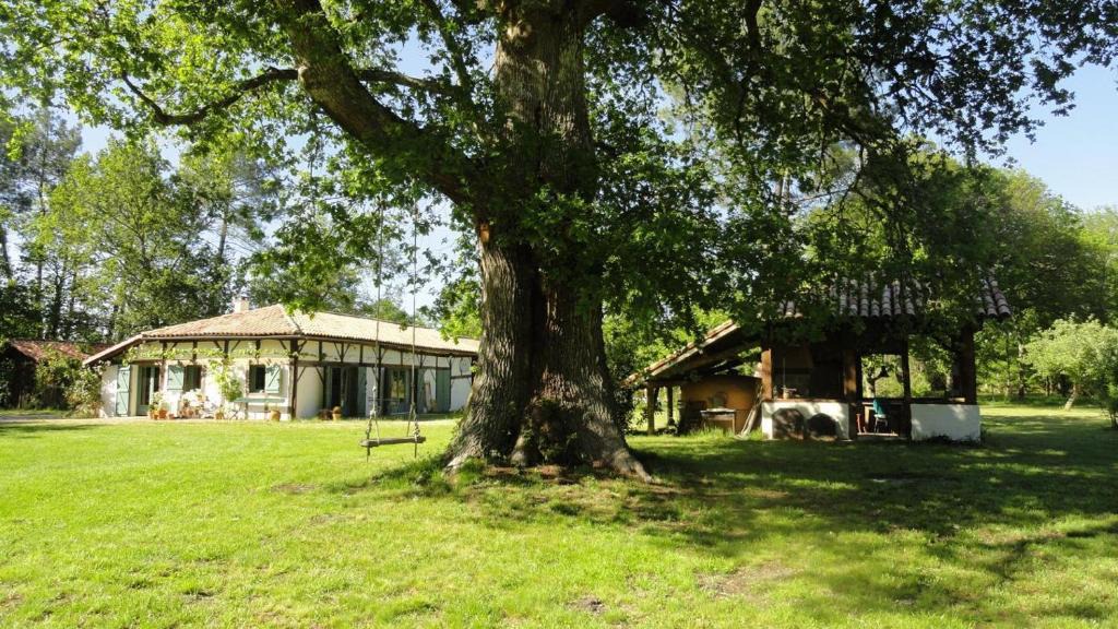 Luglon House | Le gîte de marquin