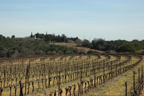 Lunel-Viel House | Le Gîte des écureuils