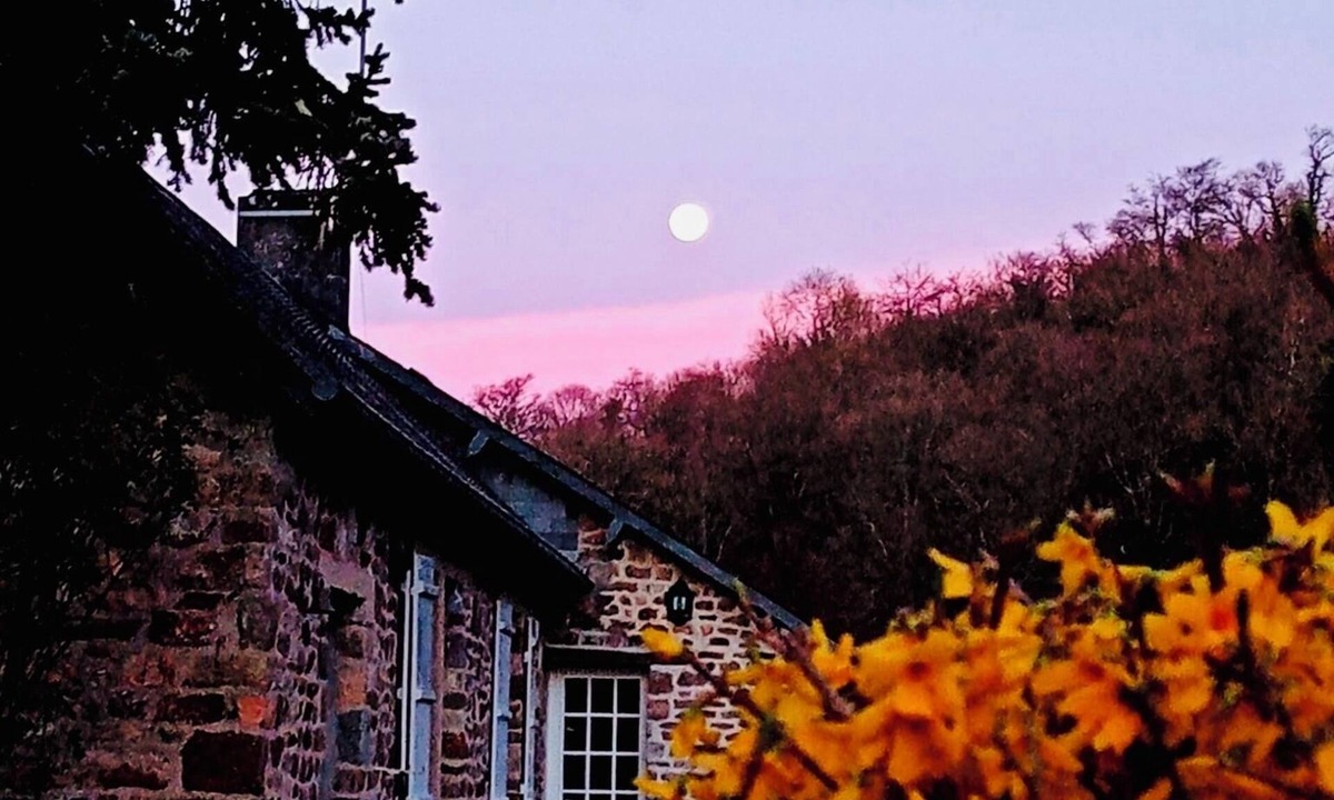 Campeaux Cottage | Le Gite De Parc (2 Bedrooms, Sleeps 4)