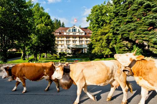 Saanen Hotel | Le Grand Bellevue