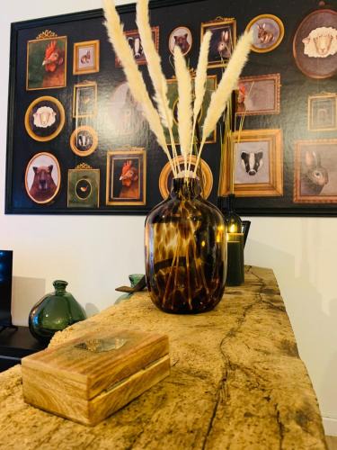 Quartier Hyper-Centre Apartment | Le Grenette Downtown