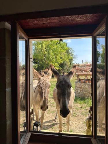 Courgains House | Le Hameau des Ânesses