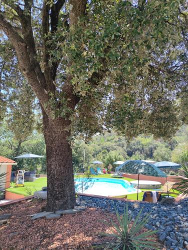 Ceret House | Le Havre de Paix