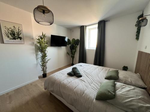 Lens Apartment | Le Jardin Botanique