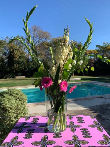 Horte Neuve Bed & Breakfast | Le Jardin de LaCoste