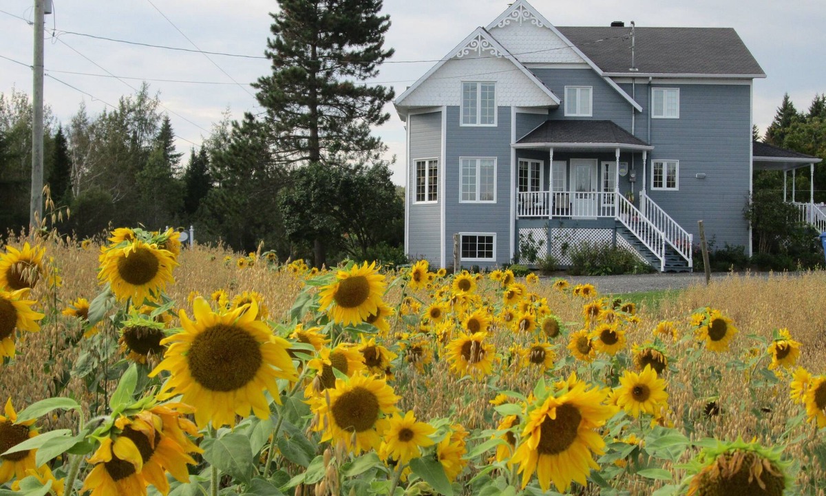 Saint-Cyprien Bed & Breakfast | Le Jardin des Mésanges