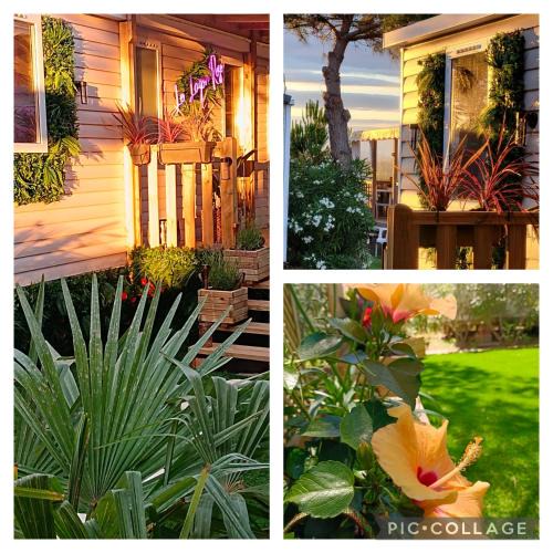 Canet-Plage Other | Le Lagon Rose nice bungalow Camping SIBLU le Mar Estang Canet-en-Roussillon, 2 rooms, 2 bathrooms, 2 TV, free WIFI, sheets & towels included, beach at 5 mn walk
